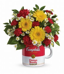 Campbell's Healthy Wishes  Cottage Florist Lakeland Fl 33813 Premium Flowers lakeland